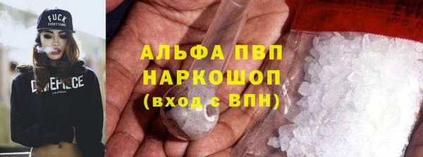 спиды Горняк