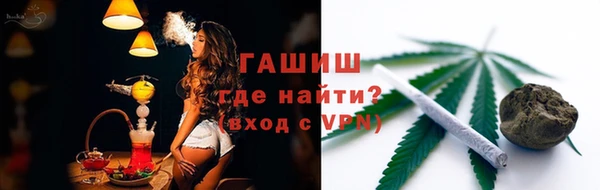 спиды Горняк