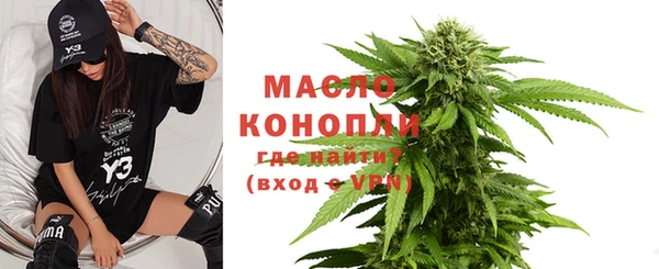 спиды Горняк