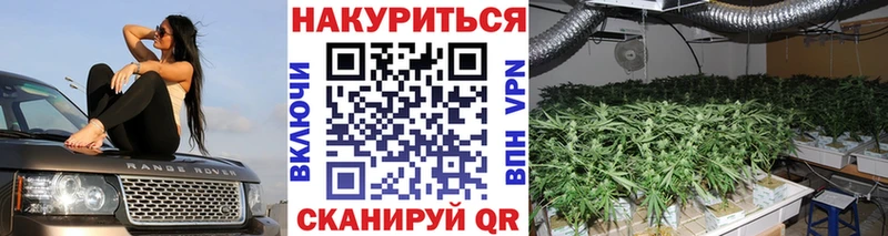 сколько стоит  Дорогобуж  МАРИХУАНА семена 